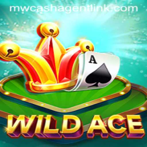 Exploring the Thrills of WildAce: An In-Depth Guide